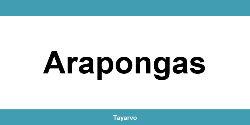 Telefone das lojas Havan em Arapongas